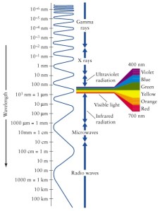 Electromagnetic (EM) spectrum:  Visible light is the only part of the EM spectrum that we see and appears to us as colors of the rainbow.  (Source:  http://science-edu.larc.nasa.gov/EDDOCS/Wavelengths_for_Colors.html)